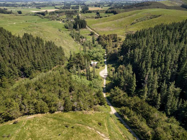 240 Sladdens Bush Road Coopers Creek_12