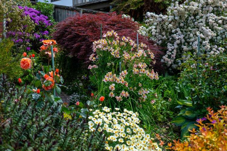 6 Gillam Crescent Springfield_35