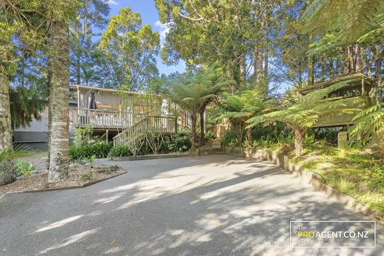 78 Waima Crescent Titirangi_22