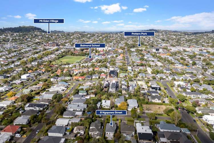 8 Ngapawa Street Sandringham_20