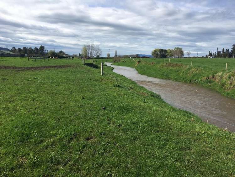 102 Platt Road Tauwhare_5