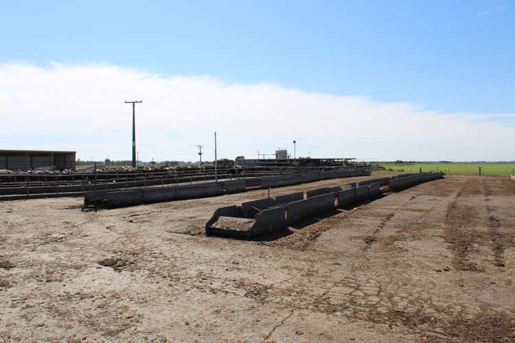 1372 Rangitane Road Tiakitahuna_10