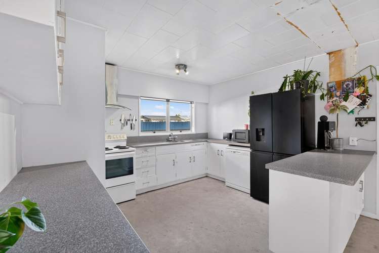 1 Arney Street Tamatea_8