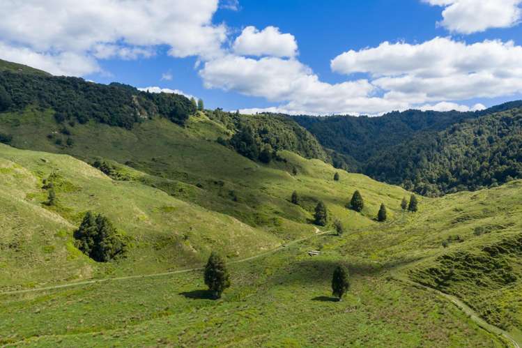 1221 Waitewhena Road Taumarunui_11