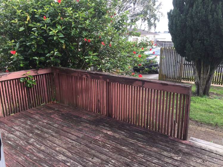 34 Finlayson Avenue Clendon Park_14