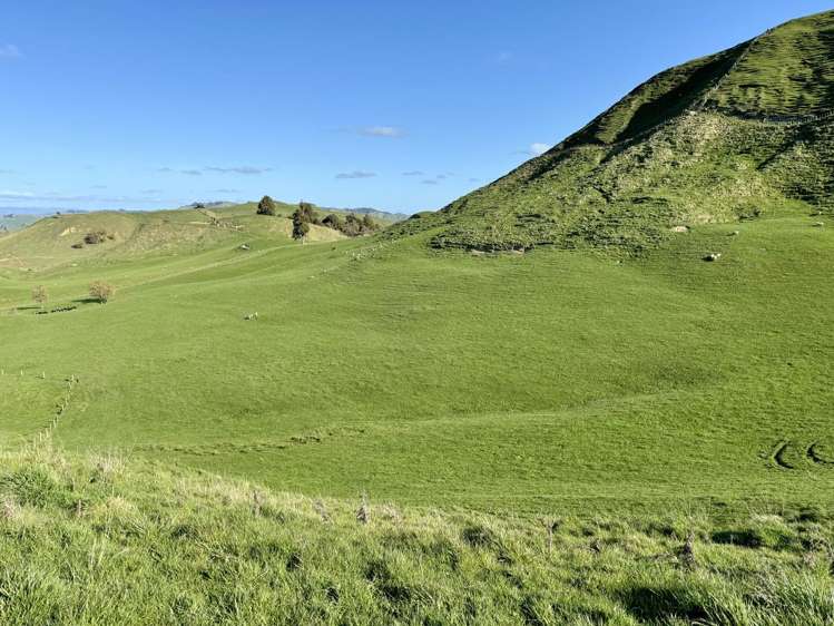 515 Ruanui Road Taihape_12