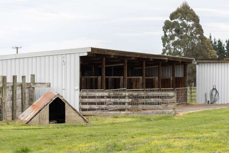 181 Mitcham Road Allenton_30