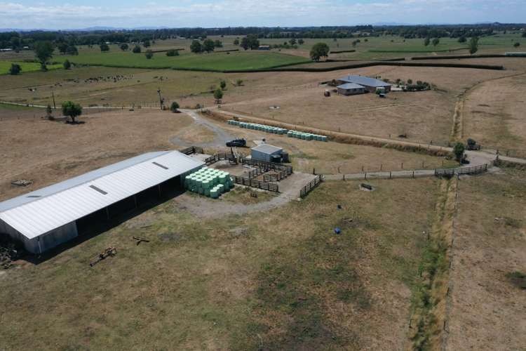 111 Mill Road Ohaupo_8