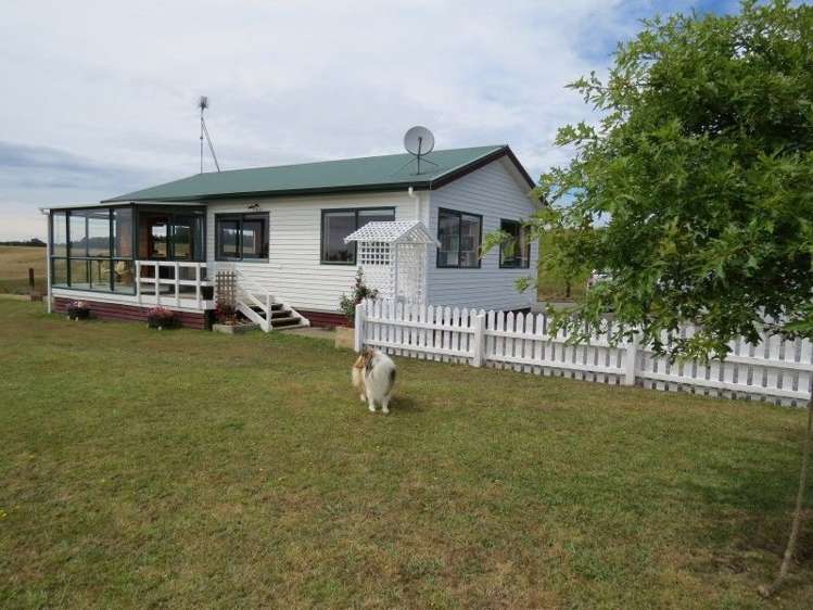 764 Work Road Whakamarama_2