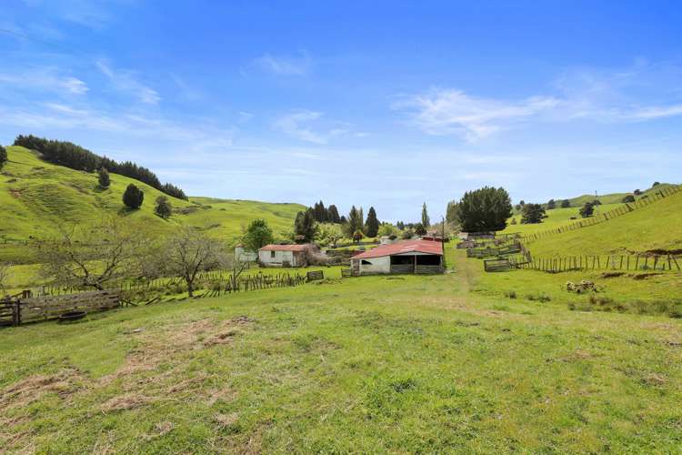 205 Tunanui Road Owhango_13