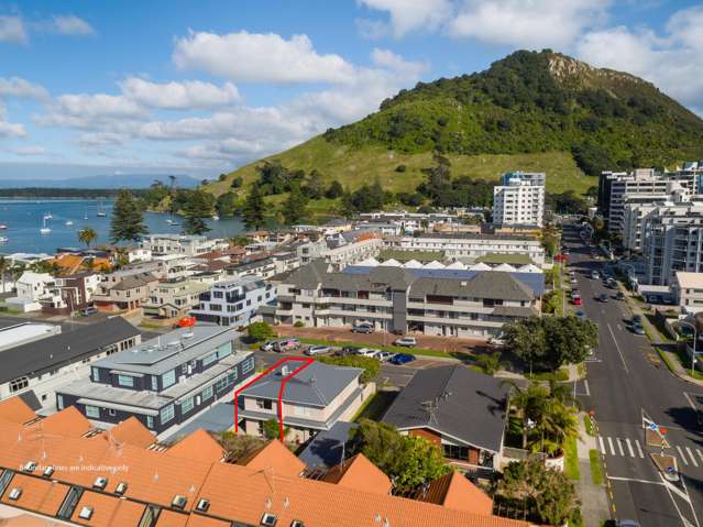 18a Commons Avenue Mount Maunganui_1