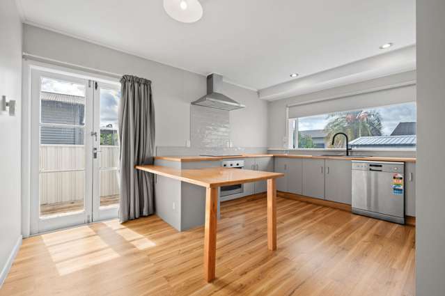 49 Tuhikaramea Road Dinsdale_3