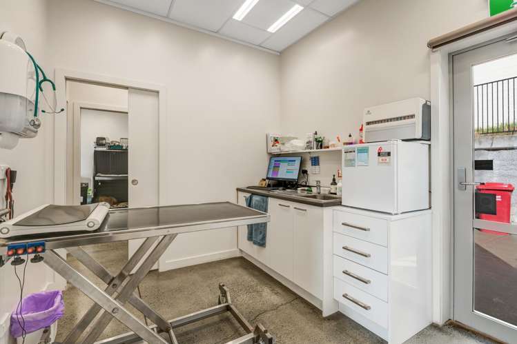 938 Whangaparaoa Road Manly_5