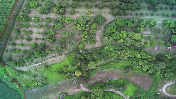 400 Te Matai Road Te Puke_7