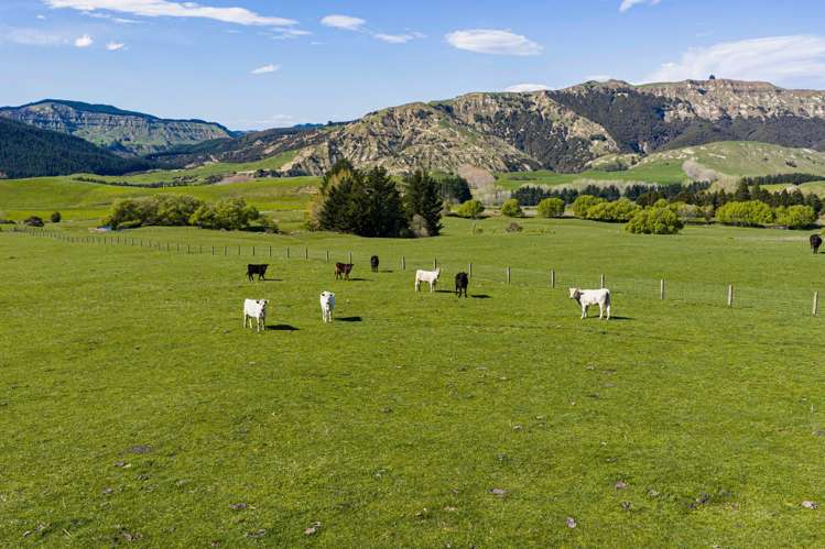 468 Waikoau Road Tutira_7