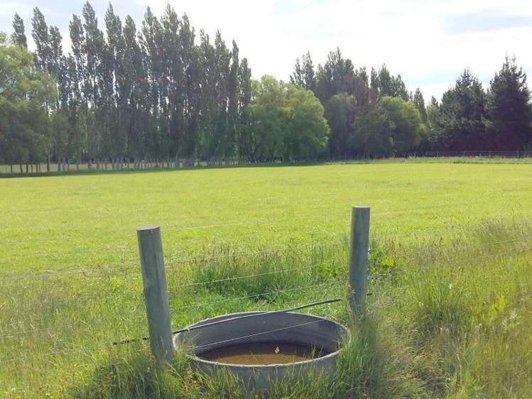 119 Greens Road Tuahiwi_18