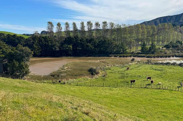 4439 State Highway 31 Kawhia Road Oparau_19