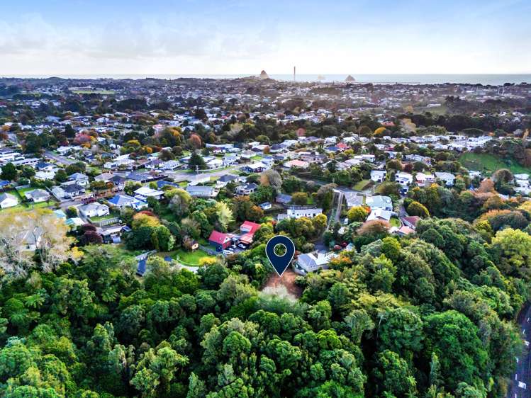 21c Doralto Road Frankleigh Park_11