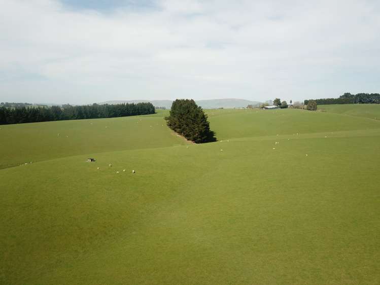 20 Carruthers Road Pomahaka_10