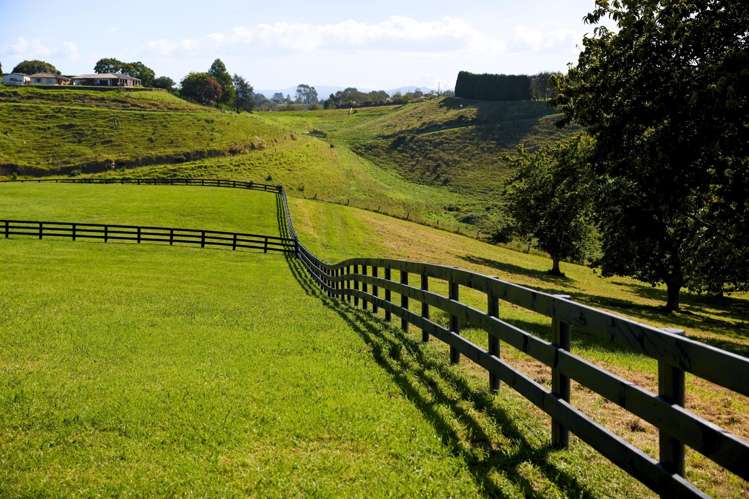 196C Pukemapu Road Oropi_11