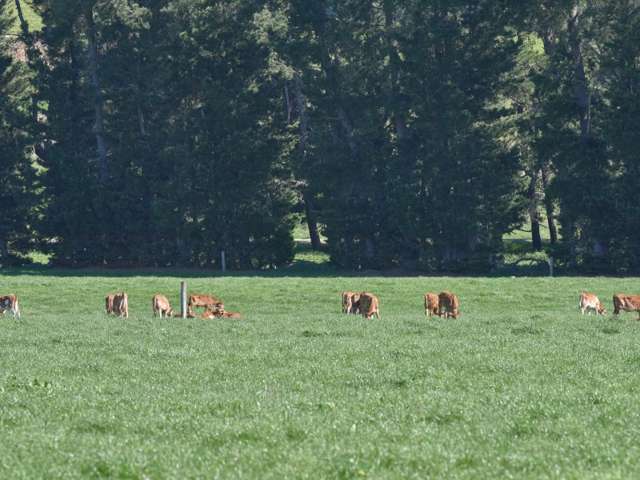 64 Lake Sumner Road Hawarden_2