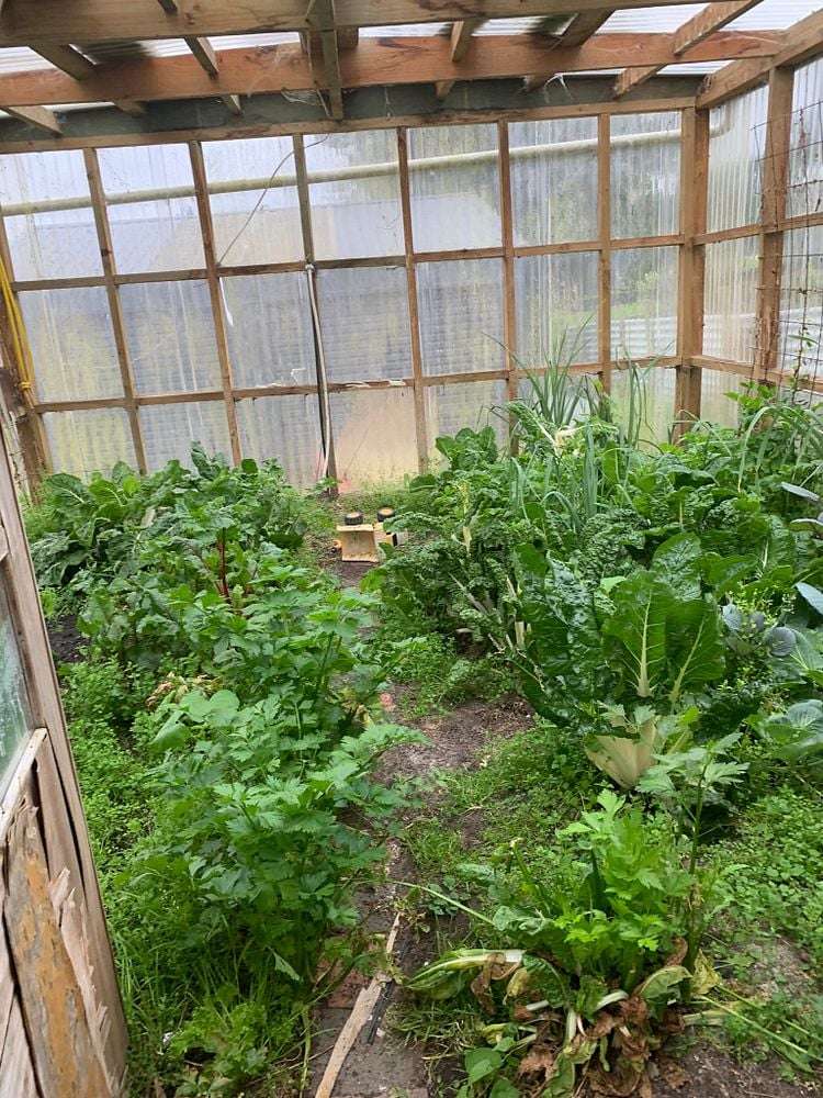 6 Grace Street North Sanson_13