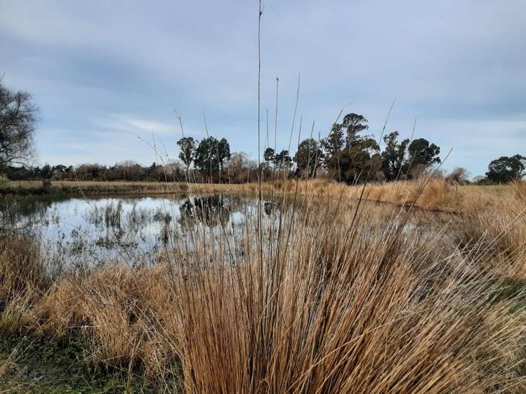 229 Balcairn Amberley Road Amberley_6