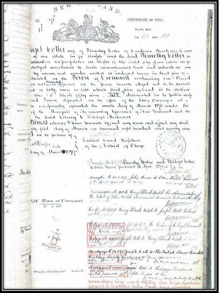 3a Donegal Street Cromwell_21