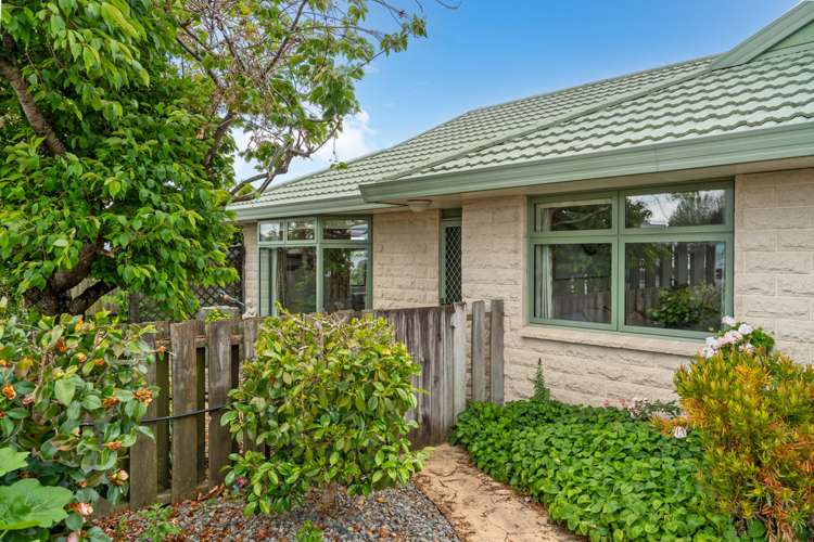 143 Dixon Street Masterton_18