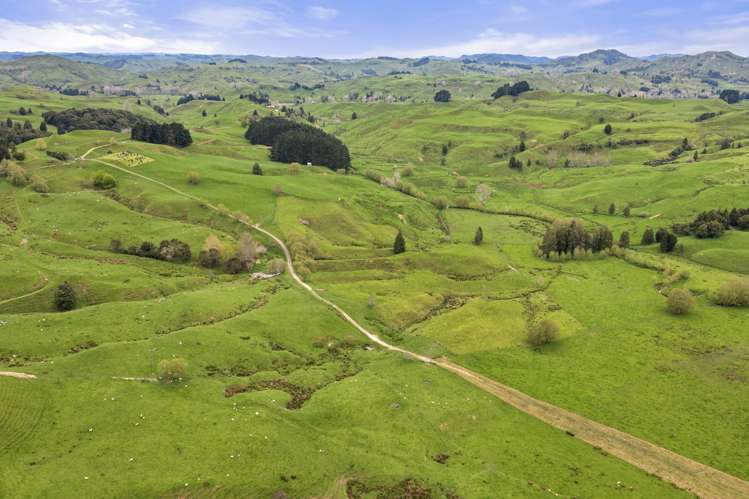 80 Parakoko Road Aria_11