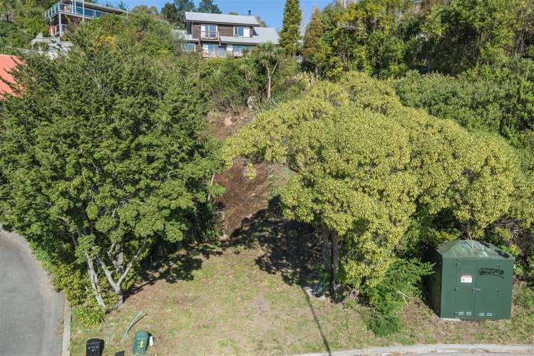 20 Longhurst Terrace Cashmere_13