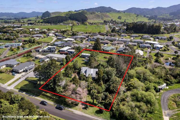 100 Bradford Street Waihi_0