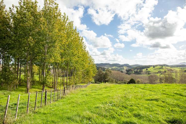 945 Waiotira Road Mangapai and Surrounds_7