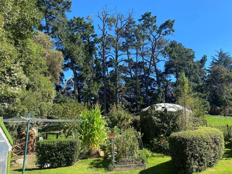 89 Cheviot Heights Cheviot_19