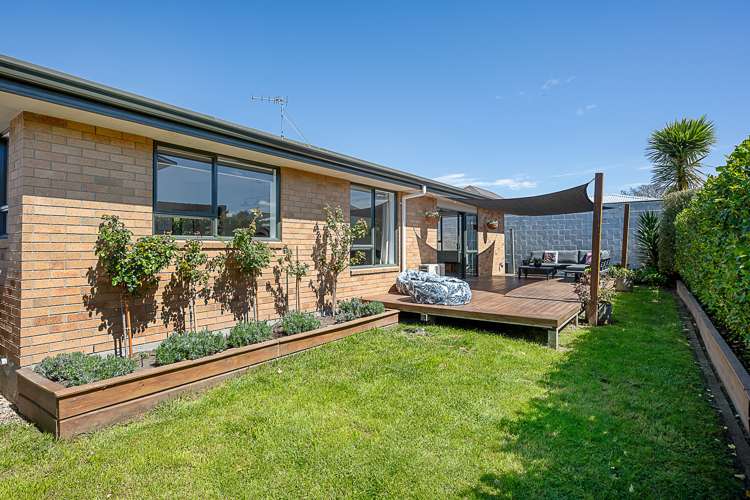 22a Brewer Street Blenheim Central_19