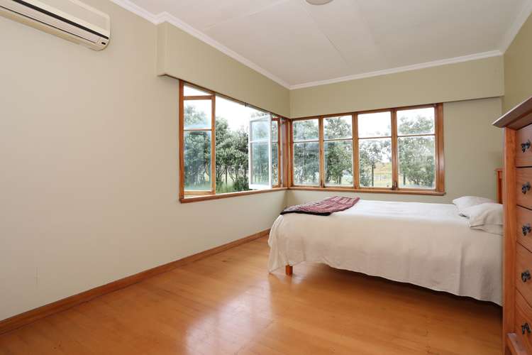 2 Viles Road Bulls_10