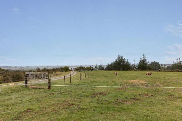 188B Powerhouse Road Fairdown_40