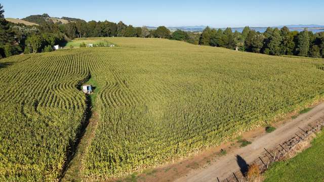 664a Te Pua Road Kaikohe_4