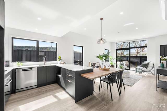 35a Pine Avenue Upper Hutt_1