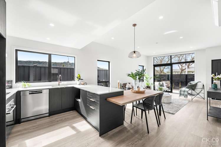 35a Pine Avenue Upper Hutt_1