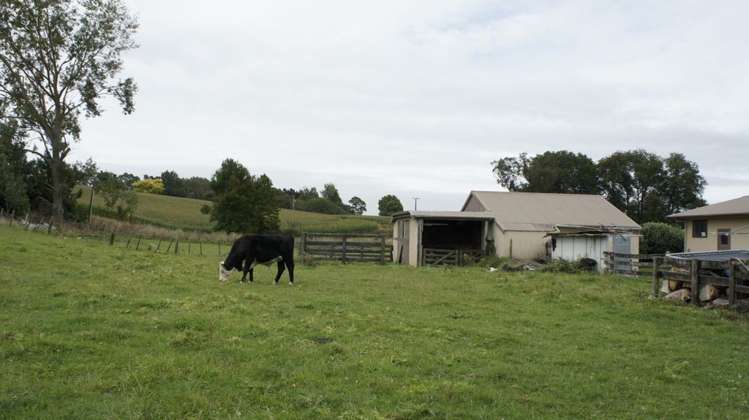 241 Saint Leger Road Kihikihi_10