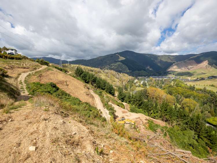 184 Panorama Drive Enner Glynn_7