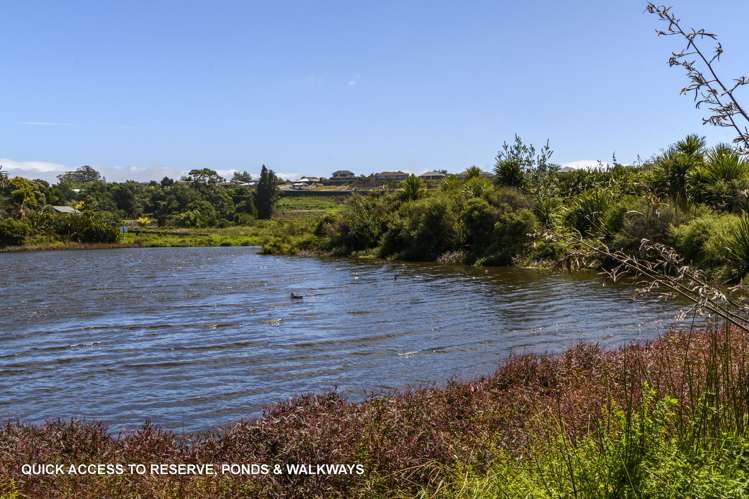 113 Solomon Street Brookfield_15