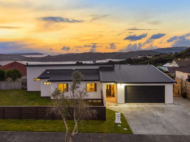 Elevated living | Expansive harbour views