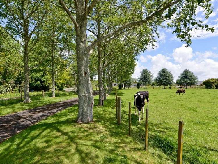 51 Cedar Park Road Tamahere_10