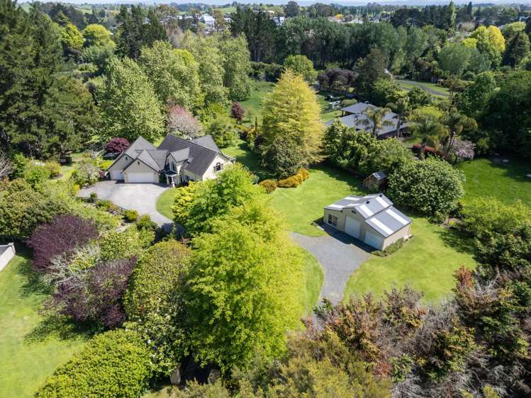 47D Poplar Lane Matangi_40