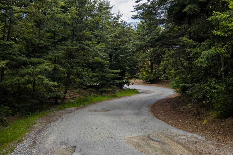 3 Bellbird Lane Mount Creighton_2