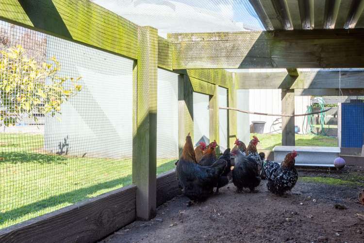 107b State Highway 30 Tikitere_41