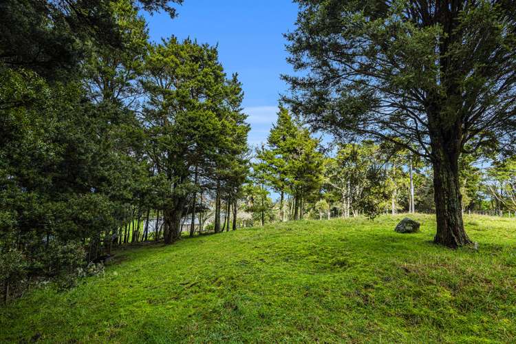 13 Bon Vue Ridge Whakapara_20