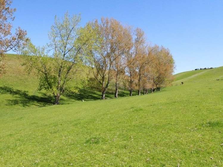 539 Rolling Ridges Road Levels Valley_1